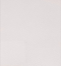 Color: #FFFFFF