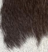 Color: 
