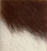 Color: 