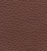 Color: #9A5630