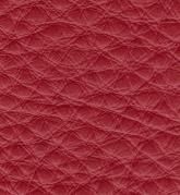 Color: #F61F1F