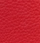 Color: #F61F1F