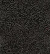 Color: #000000