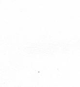 Color: #FFFFFF