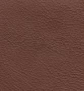 Color: #9A5630