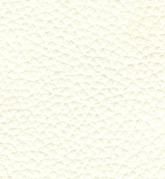 Color: #FFFFFF