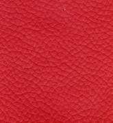 Color: #F61F1F