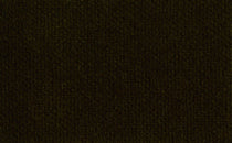 Color: #9A5630