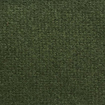 Color: #05AA3D