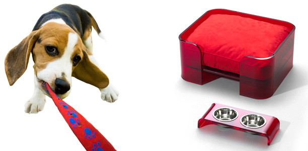 Modern Design accessories for Pets by WowBow